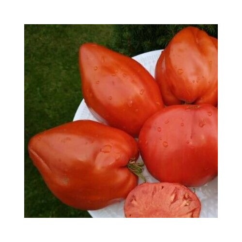 Коллекционные семена томата Древнее Сердце Аква Терме семена томат древнее сердце акви терме коллекционный сорт