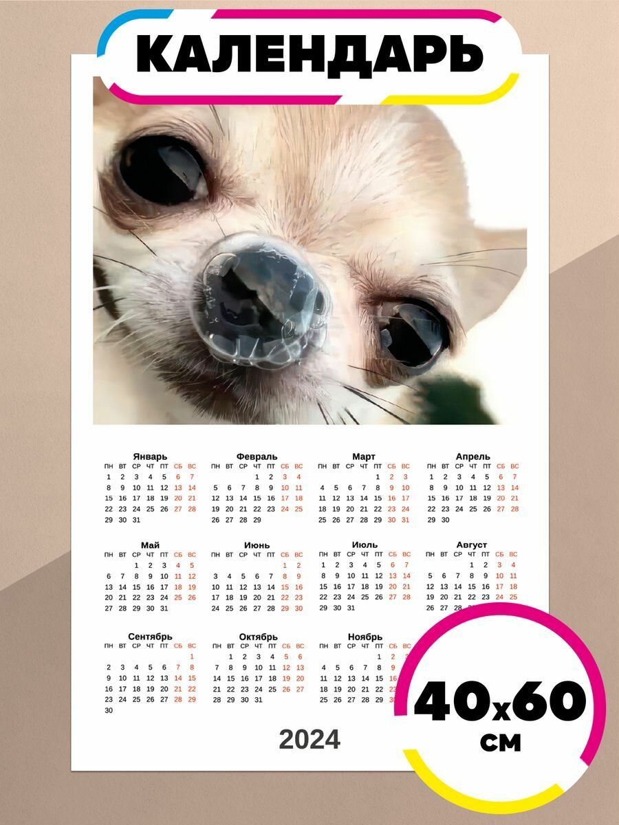 Постер календарь 2024 мем Смешной песик