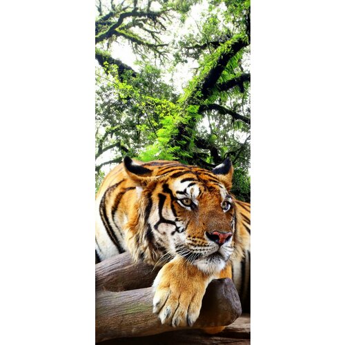 Самоклеящиеся фотообои Тигр в тропическом лесу, размер: 90x200 см
