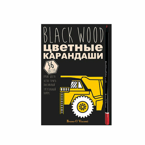 Цветные карандаши 36 цветов Bruno Visconti BlackWoodColor, Машина