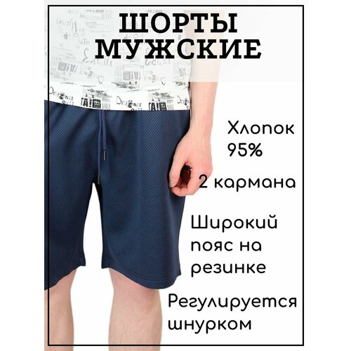 фото Шорты , размер xl, синий нет бренда