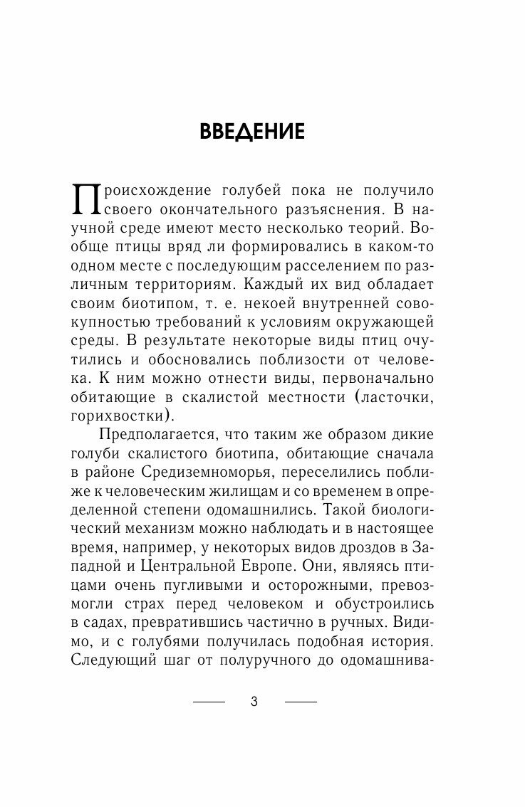Голуби (Степнов Евгений Андреевич) - фото №5