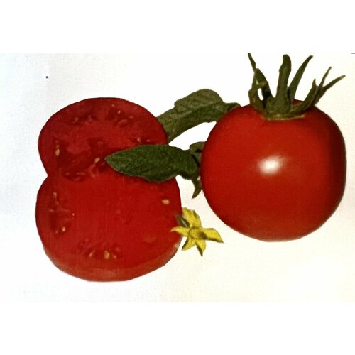 Сюник, селекция Армения.