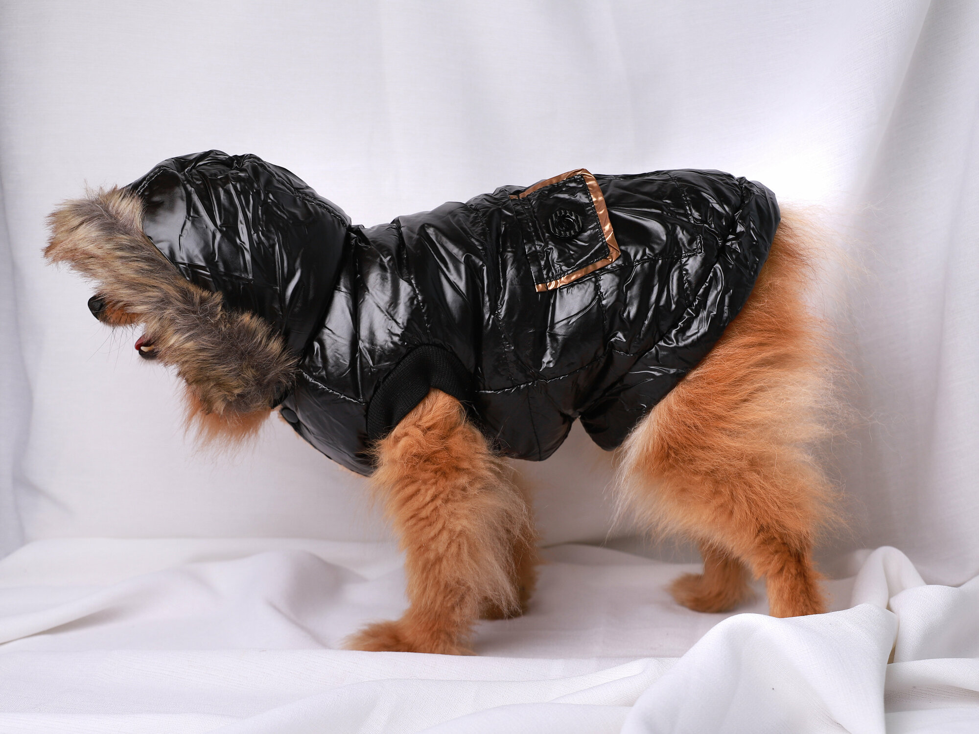 Куртка для собак черного цвета (размер M ) - фотография № 3
