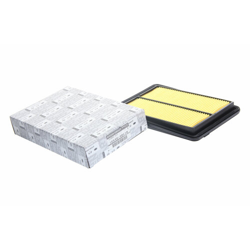 Фильтр воздушный NISSAN Qashqai (J11Z) OE