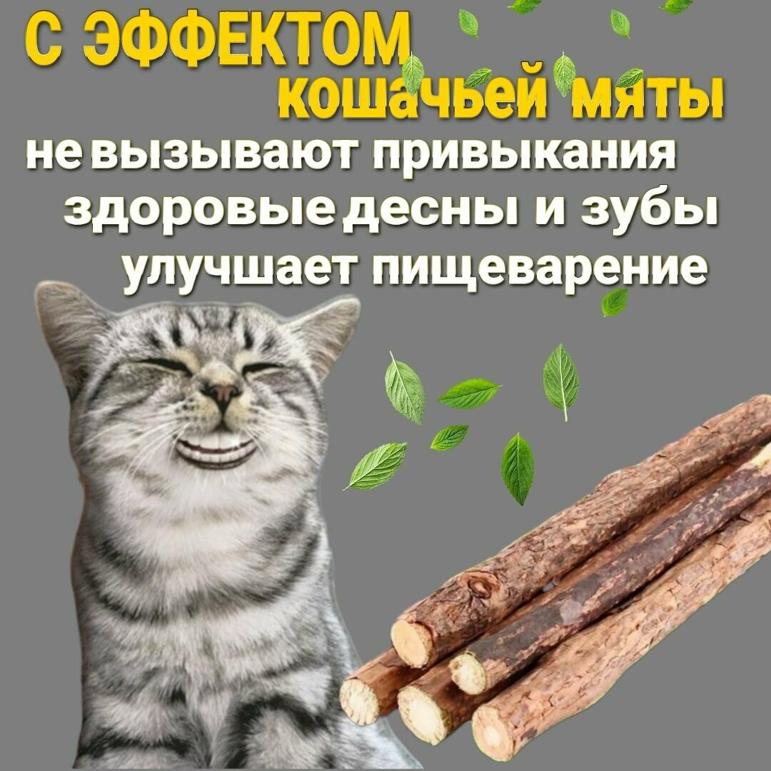 Игрушка для кошек Палочки мататаби , с эффектом кошачьей мяты . Лакомство для чистки зубов 12 штук в упаковке. — фото 1