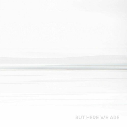 Foo Fighters – But Here We Are foo fighters but here we are lp white виниловая пластинка