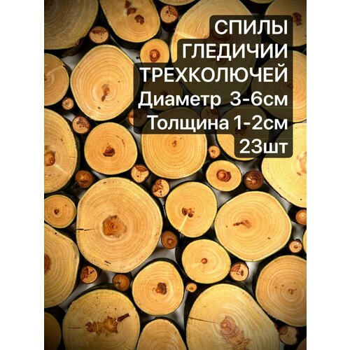 Спилы дерева Гледичия 3-6 см 23 шт