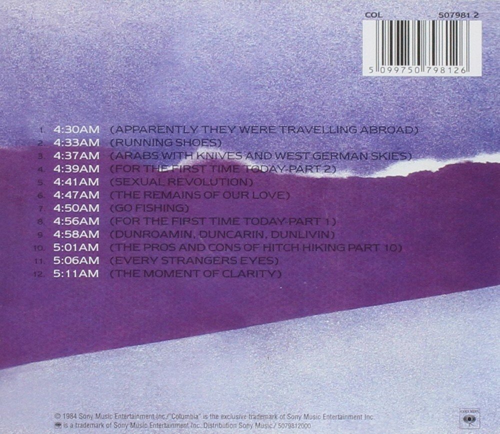 Roger Waters The Pros And Cons Of Hitch Hiking CD Медиа - фото №4