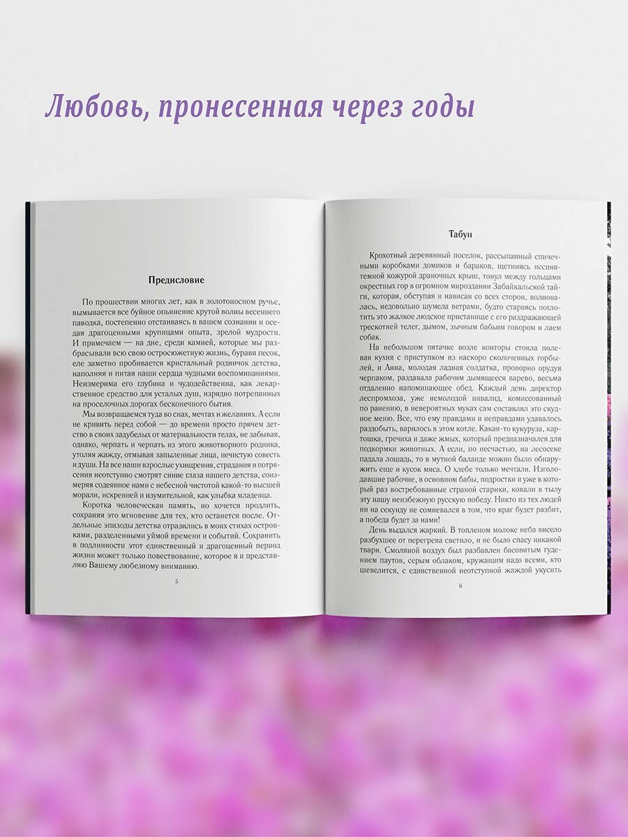 Багульника розовый дым (Росс Г.) - фото №6