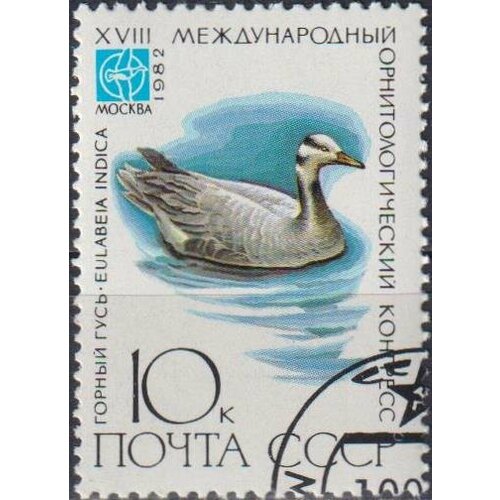 Почтовые марки СССР 1982г. Горный гусь Птицы U