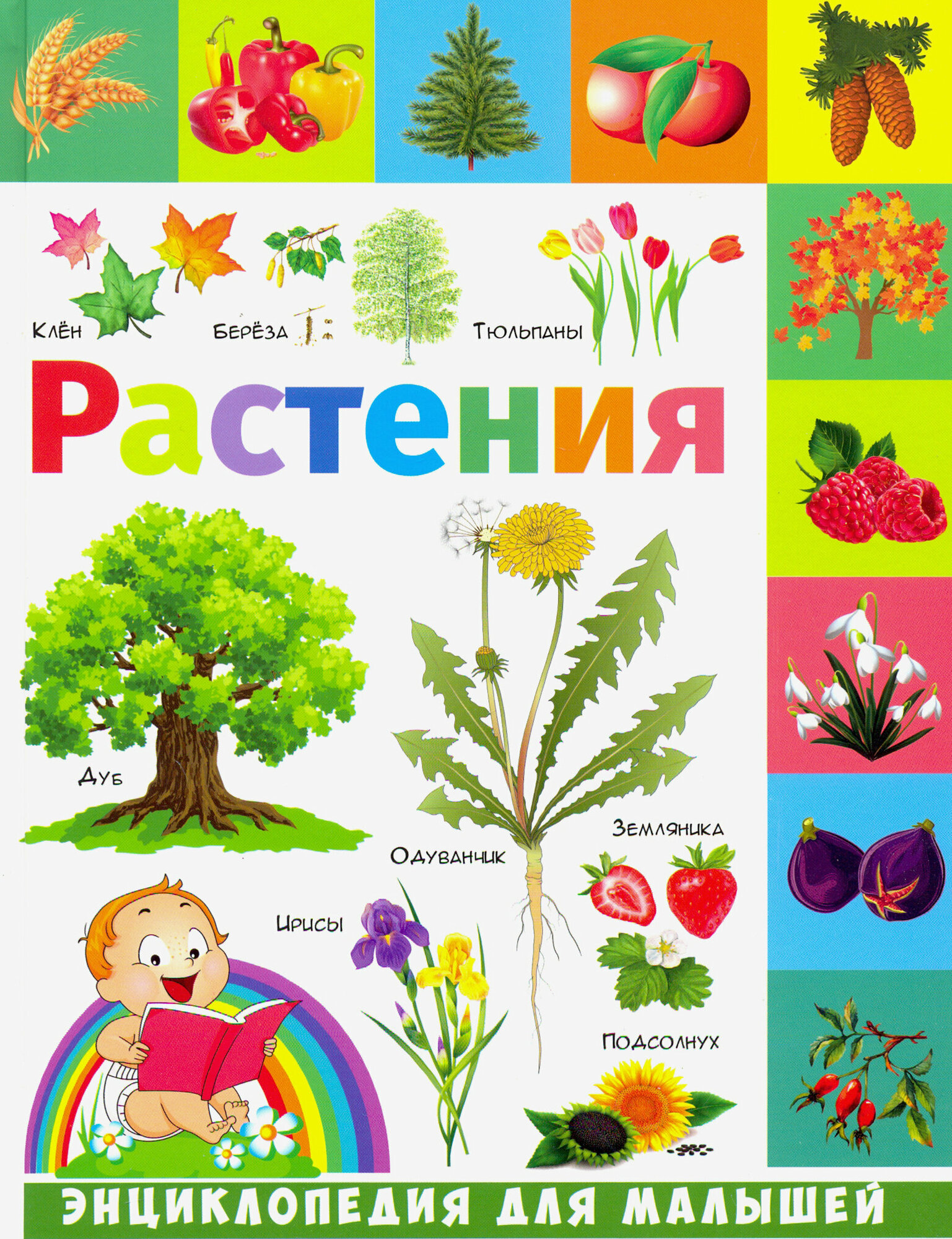 Растения