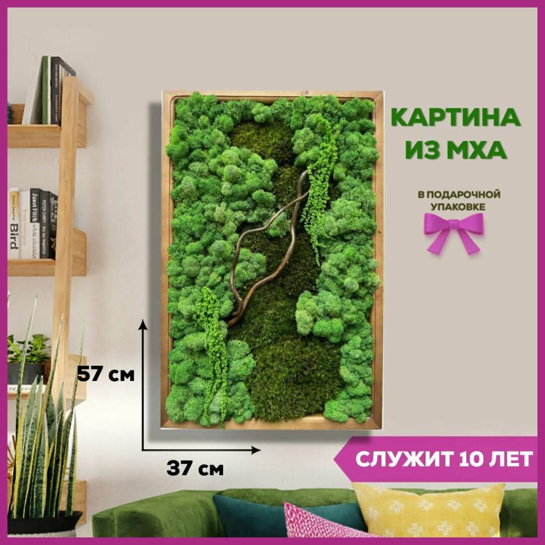 Настенный декор Bloom Showroom "Живая картина" из стабилизированного мха", 38х58