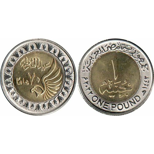 Египет 1 фунт, 2022 70 лет полиции UNC памятная монета 1 фунт день полиции 69 лет египет 2021 г в монета unc без обращения