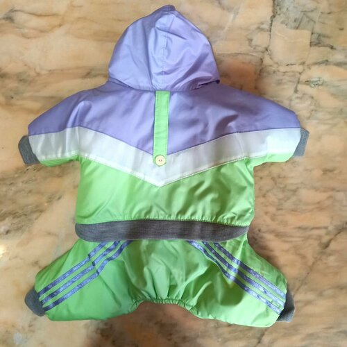 Демисезонный комбинезон 