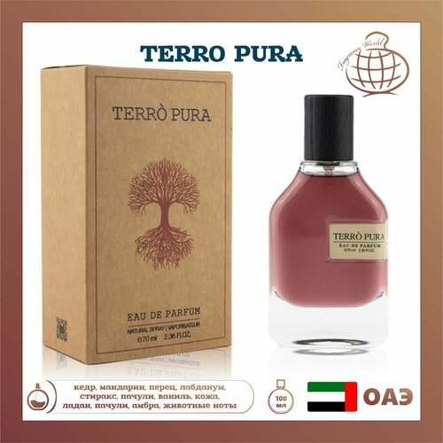 Парфюмированная вода Terro Pura, Fragrance World, 70 мл terro fruit fly traps