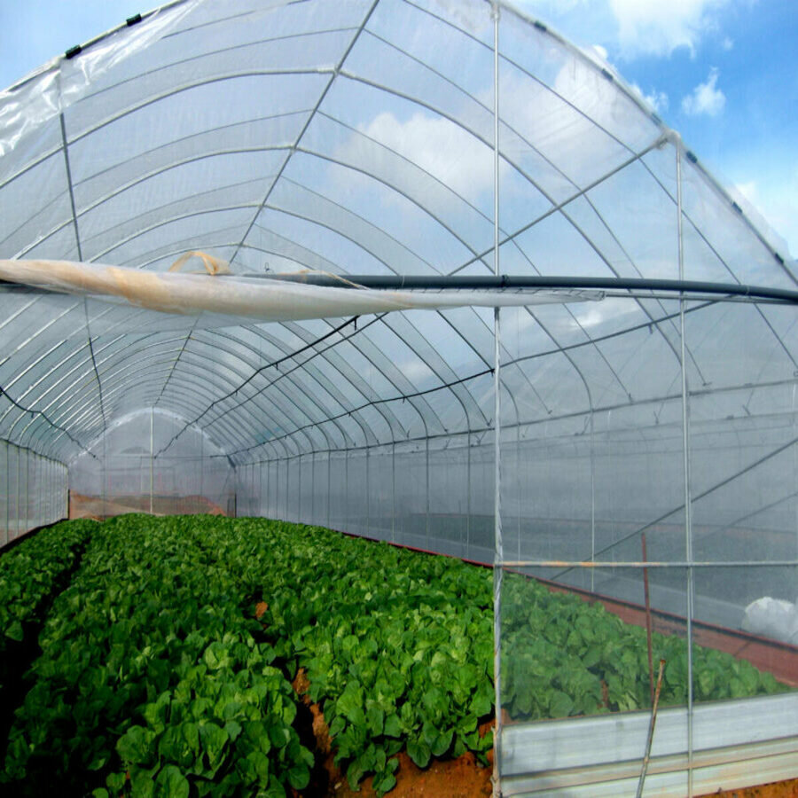 Пленка для теплиц/парников, 6 м х 5 м, толщина 120 мкн, голубая, морозостойкая — фото 1