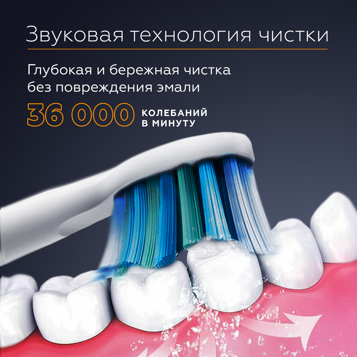 Электрическая зубная щетка AsiaCare S100, 5 режимов работы, 2 насадки, с таймером 4*30 сек, влагозащита IPX7, 30 дней на 1й зарядке. Белая