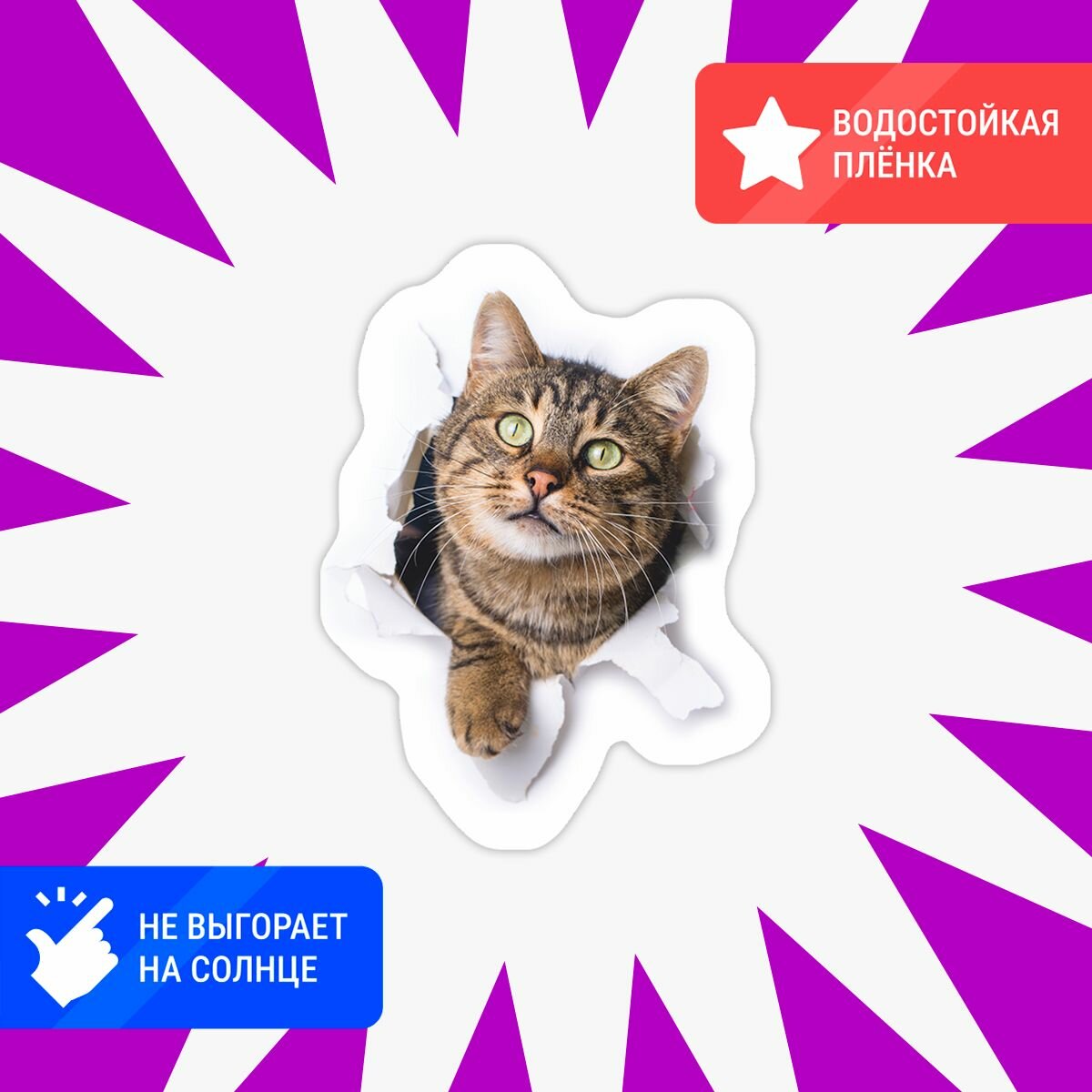 Наклейки на холодильник смешной кот — фото 1