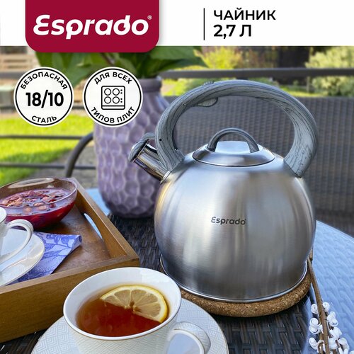 Чайник из нержавеющей стали Esprado Globo 2,7 л