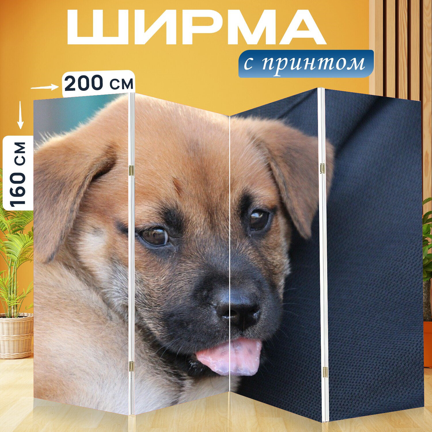 Ширма перегородка с принтом "Собака, домашнее животное, милый" на холсте - 200x160 см. для зонирования, раскладная