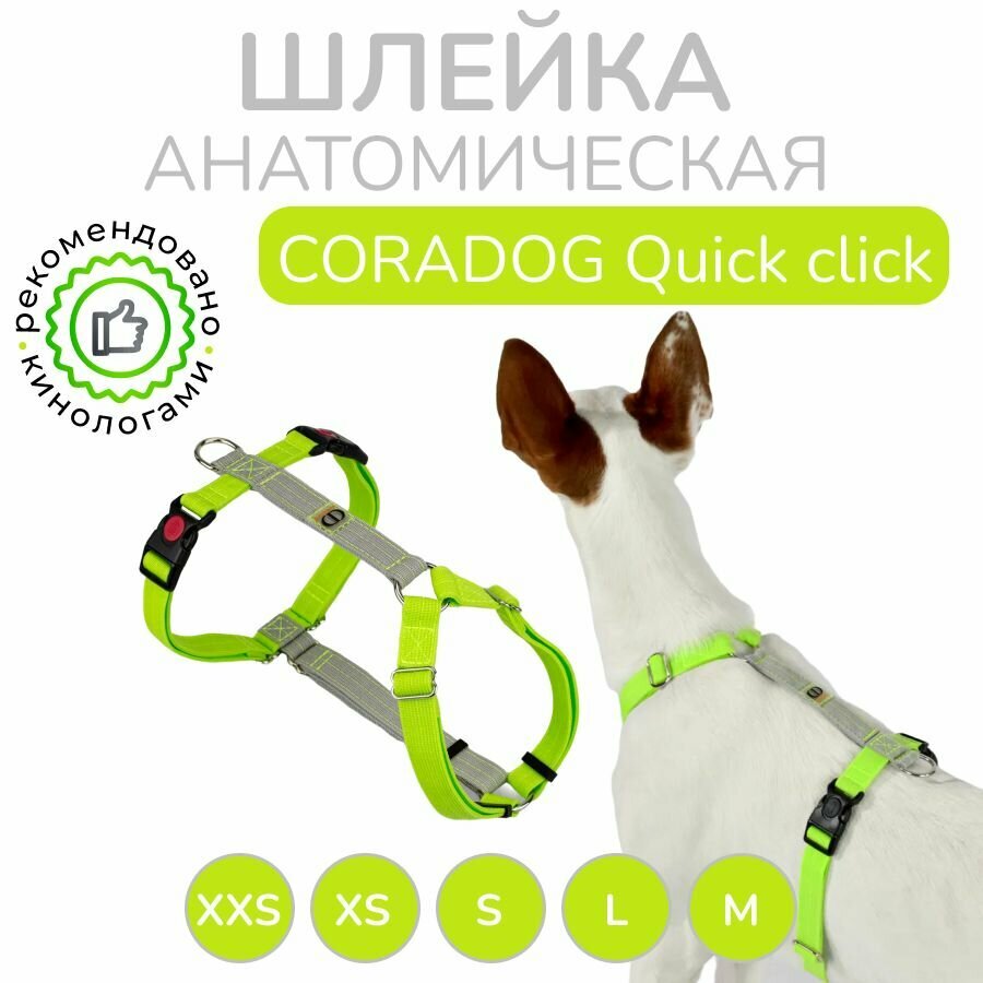 Шлейка прогулочная анатомическая для мелких и средних пород собак, CORADOG Quick click, размер XS, цвет салатовый, серый