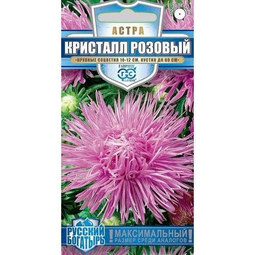 Астра Голиаф розовый 0,3 г игольч, серия Русский богатырь Н18 ревень волнистый голиаф
