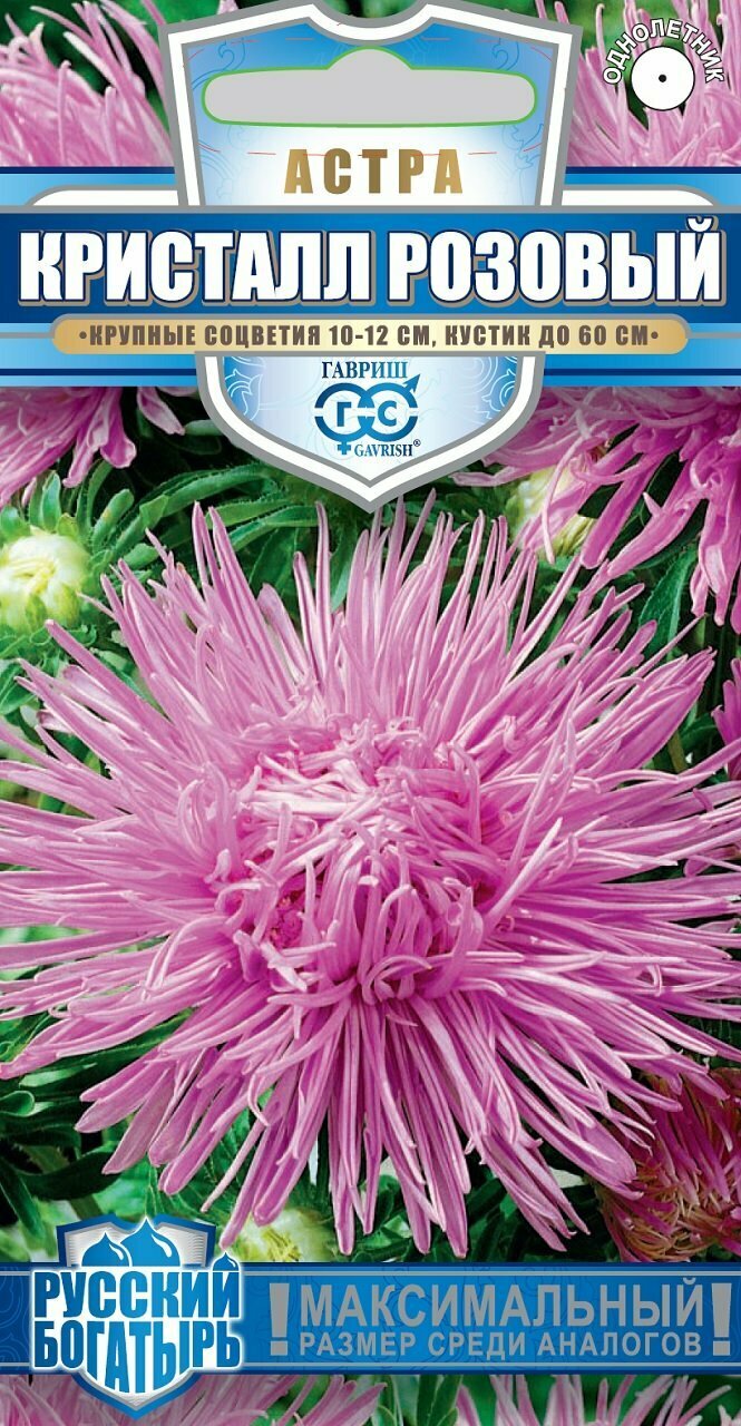 Астра Голиаф розовый 03 г игольч серия Русский богатырь Н18
