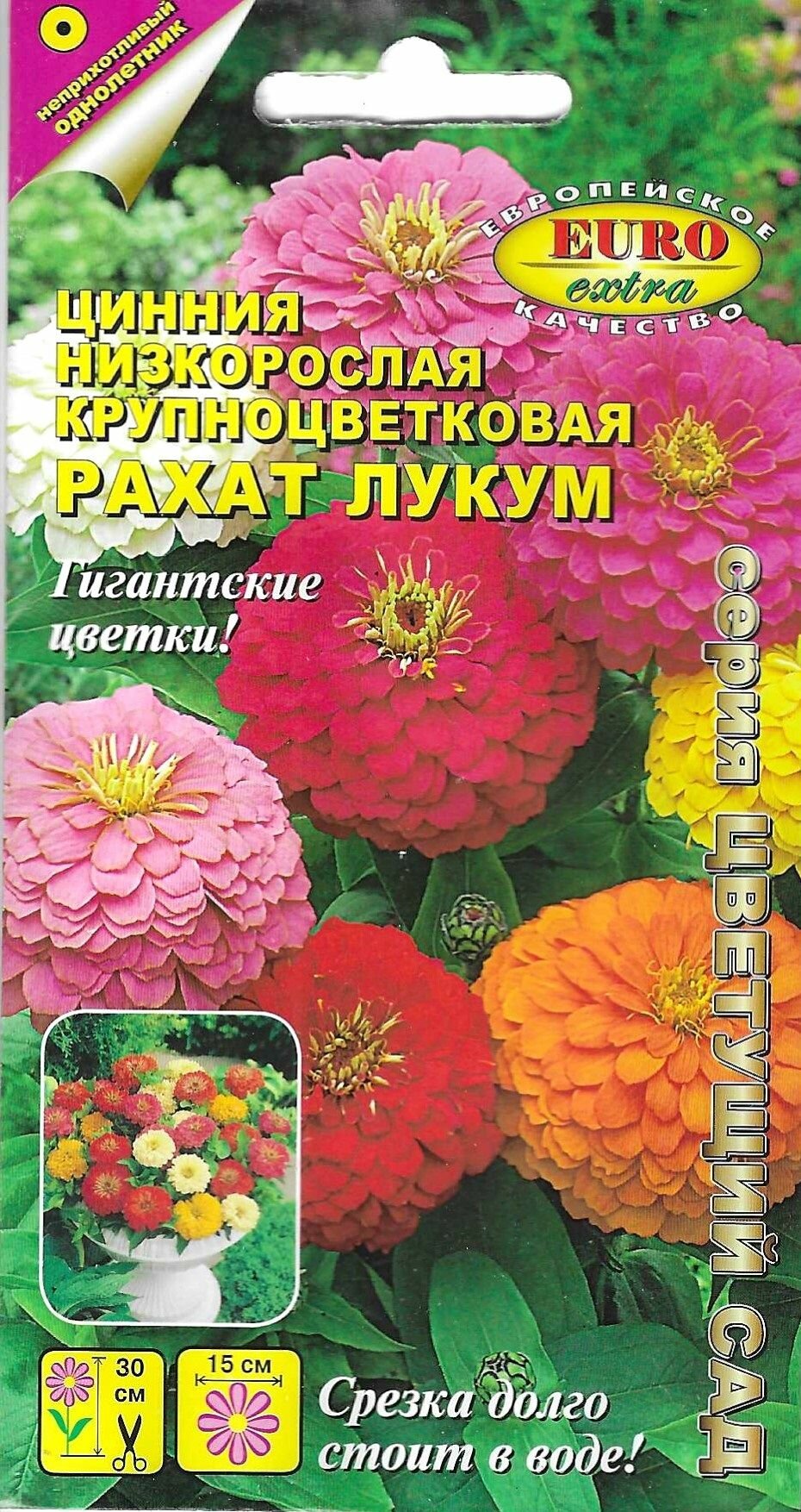 Цинния низкорослая крупноцветковая Рахат лукум семена