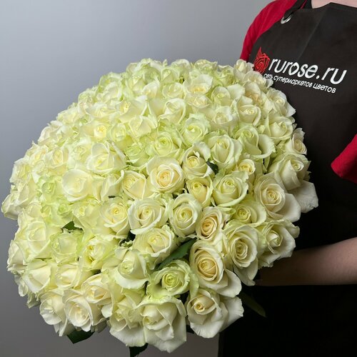фото Живые цветы букет роз 101 шт. 60 см. белый, сорт "аваланж" rurose
