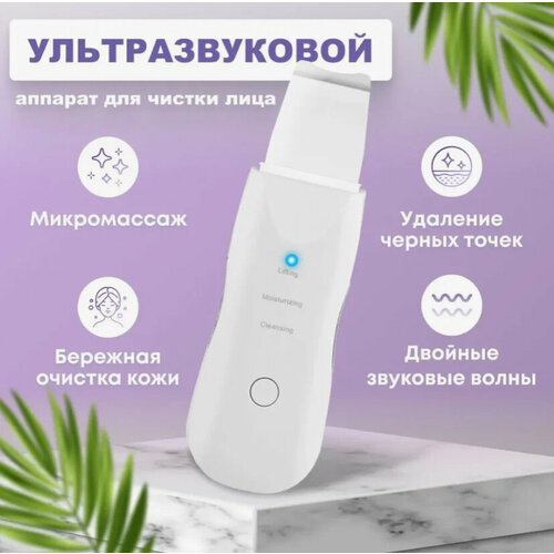 Скрабер ультразвуковой Домашний аппарат для лифтинга и ультразвуковой чистки кожи лица с силиконовыми насадками 61100₽