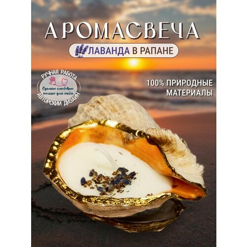 Свеча в рапане с лавандой