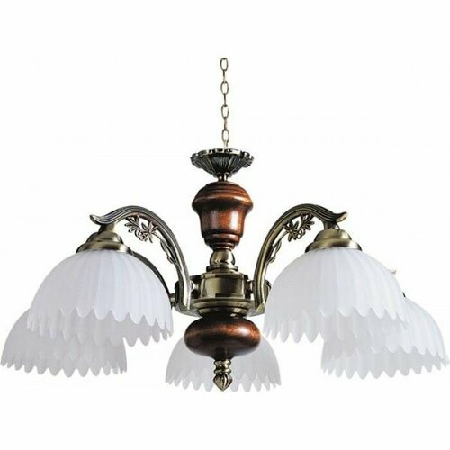 851-05-03 Люстра подвесная N-Light, 5 плафонов, дуб с бронзой