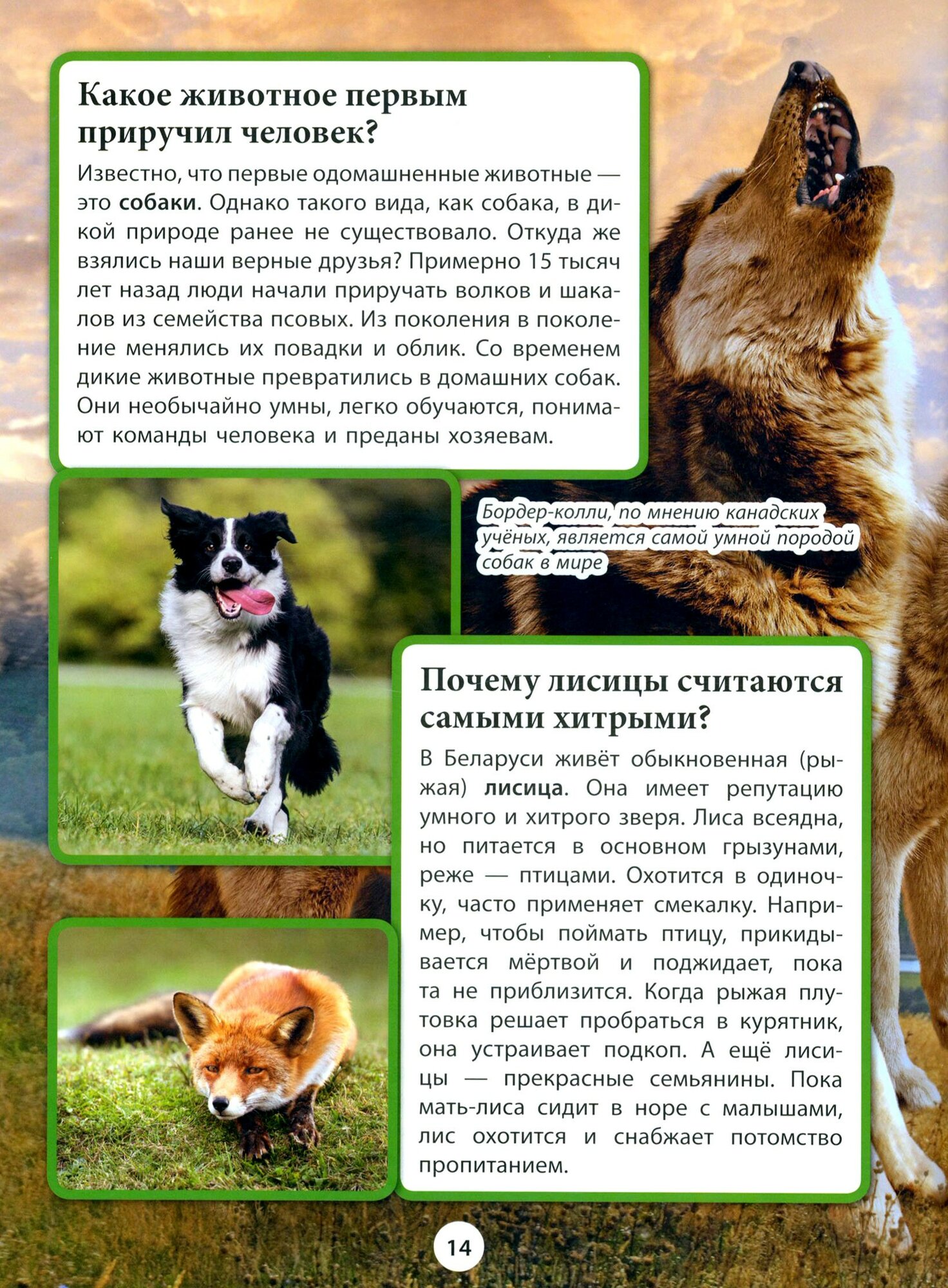 Животные (Кошевар Дмитрий Васильевич) - фото №2