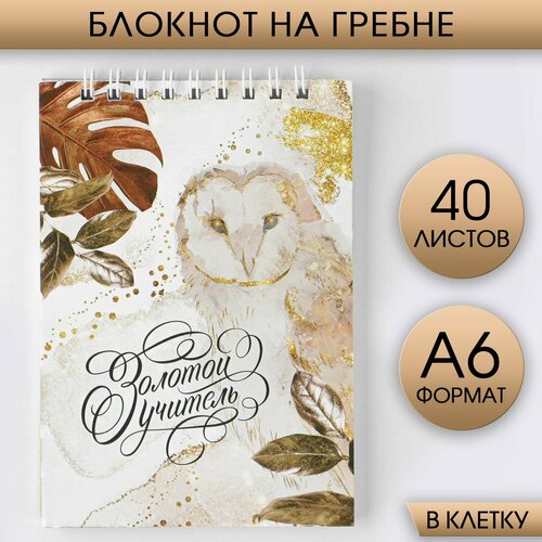 Блокнот «Золотой учитель», на гребне, А6, 40 листов блокнот золотой учитель на гребне а6 40 листов