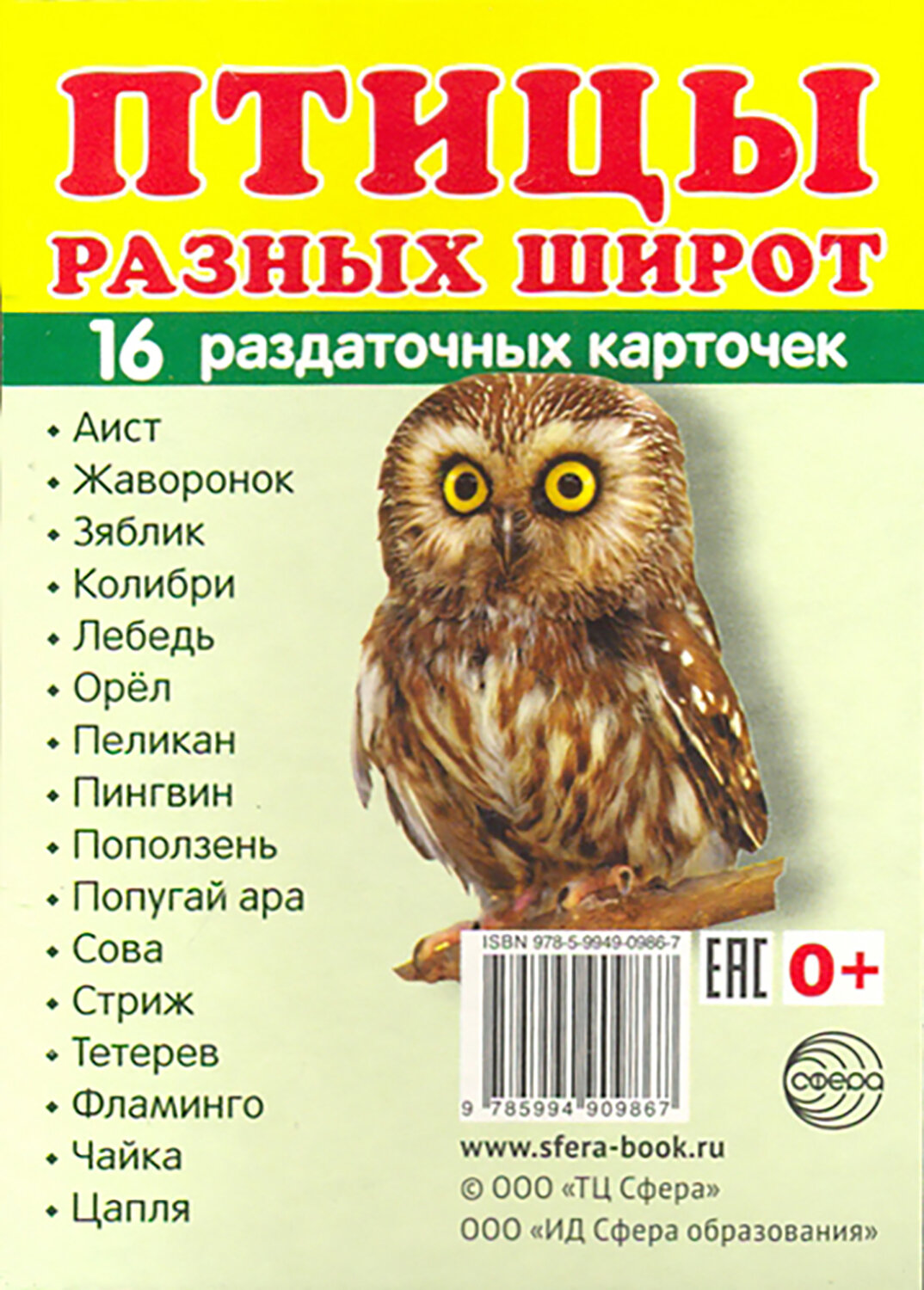Птицы разных широт. 16 раздаточных карточек - фото №4