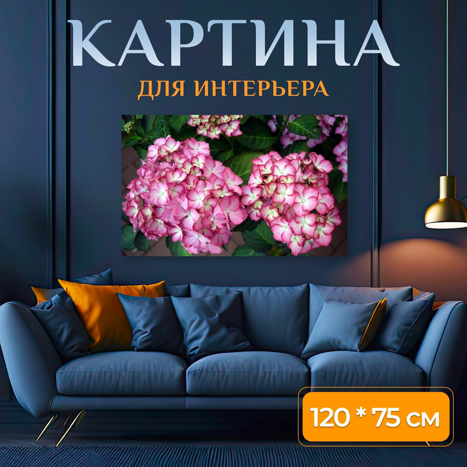 Картина на холсте "Цветок, гортензия, цвести" на подрамнике 120х75 см. для интерьера