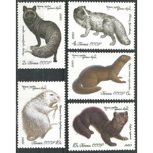 Почтовые марки СССР 1980г. Ценные породы пушных зверей Животные, Фауна MNH набор фауна ссср животные