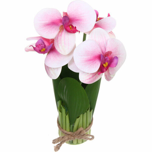 Цветочная композиция «Весенняя рапсодия» 19*27см Орхидея розовая