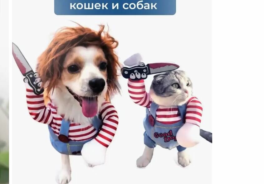 Костюм смешной - одежда для мелких собак и крупных кошек - фотография № 7
