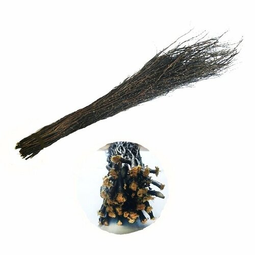 Метла Лето для улицы 2 сорт длина 100 см материал - акация без черенка 494₽