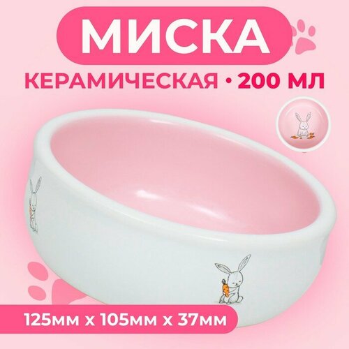 Миска керамическая для кроликов 200 мл 10 х 3,7 см, розовая/белая керамическая статуэтка кот 10 х 10 см