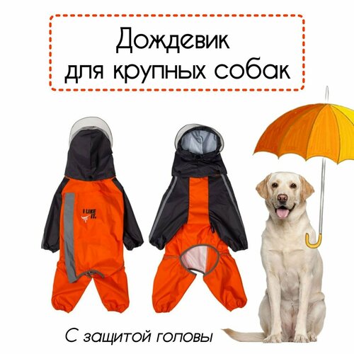 Дождевик для очень больших собак, оранжевый, спина 75см