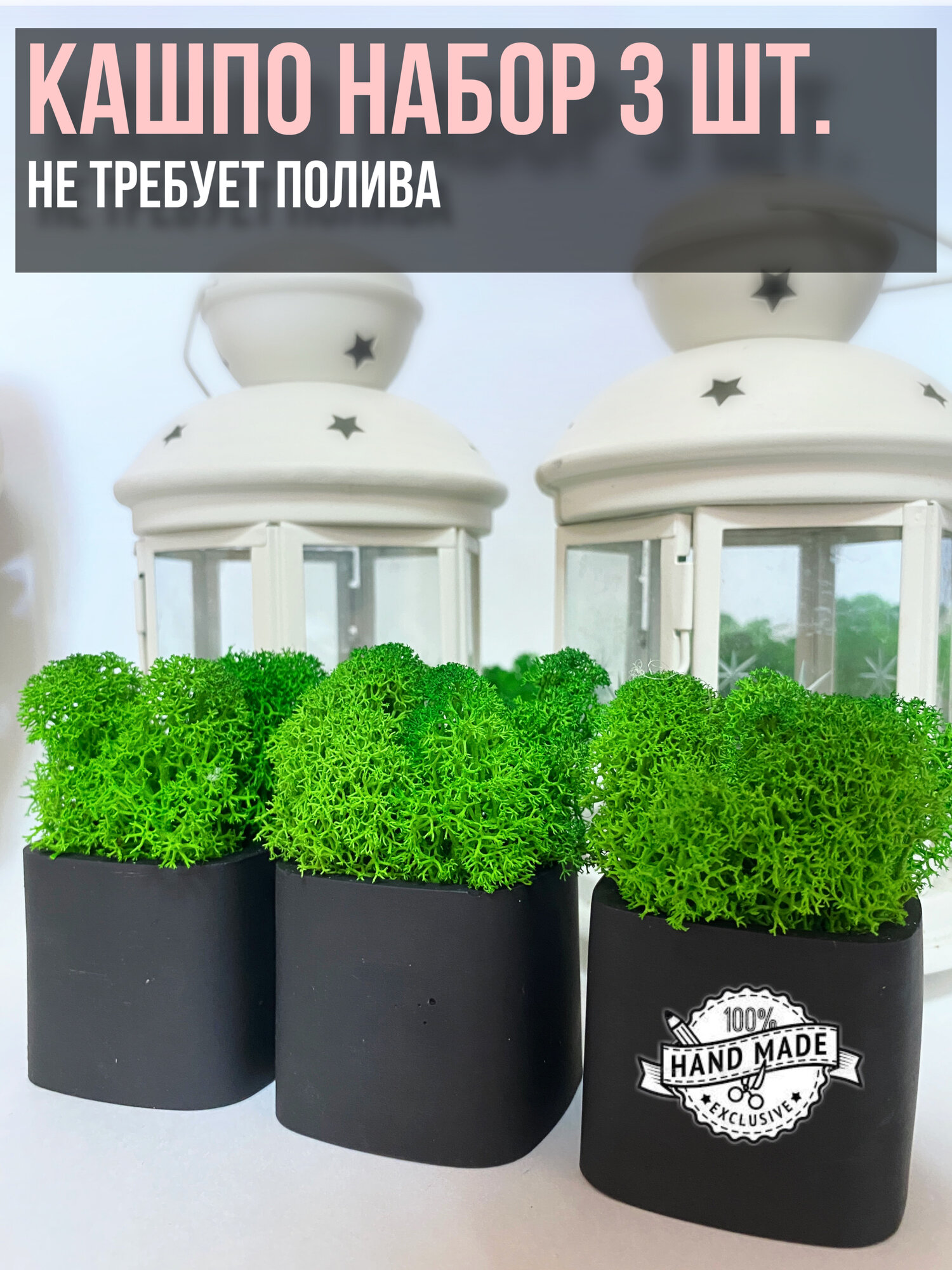 фото Кашпо с мхом - декор 3 предмета