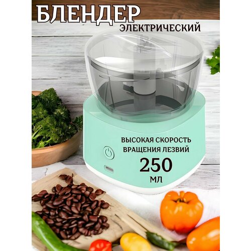 Измельчитель электрический кухонный блендер 72000₽