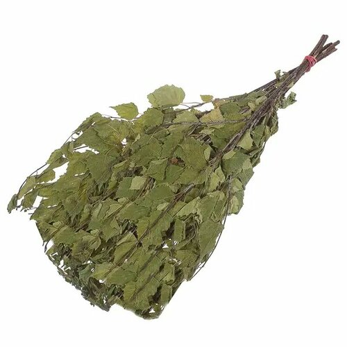 Веник берёзовый Proffi Sauna Эконом 449₽