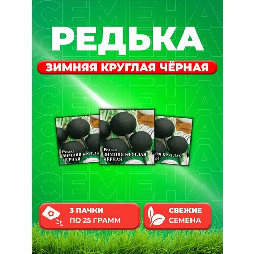 Редька Зимняя круглая чёрная 25,0 г (3уп) семена редька зимняя круглая чёрная 100г гавриш фермерское подворье