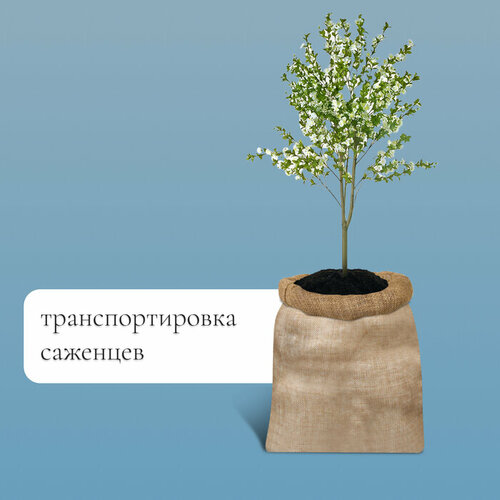 фото Мешок джутовый, 74 × 100 см, плотность 26 × 26 нитей, без завязок, greengo