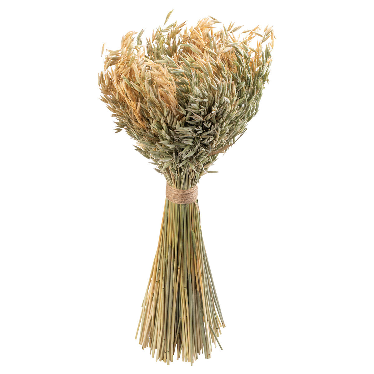 Букет из колосовых культур (овес пшеница) 48 х 16 см 40842