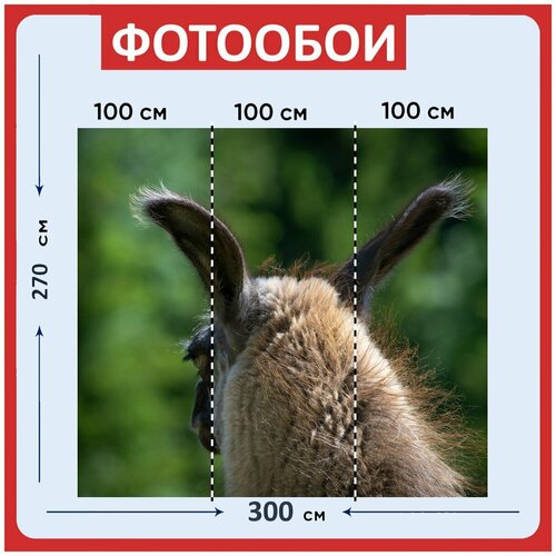 Фотообои Лама ламы голове коричневый ламы 300x270 см флизелиновыена стену 3940₽